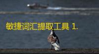 敏捷词汇提取工具 1.41 免费版