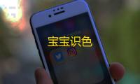 宝宝识色